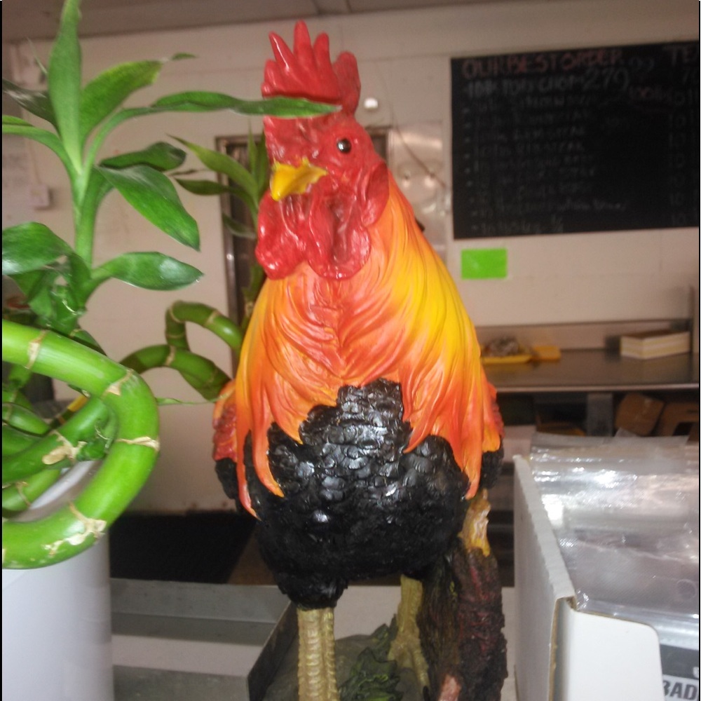 Meet your Posher, Janet